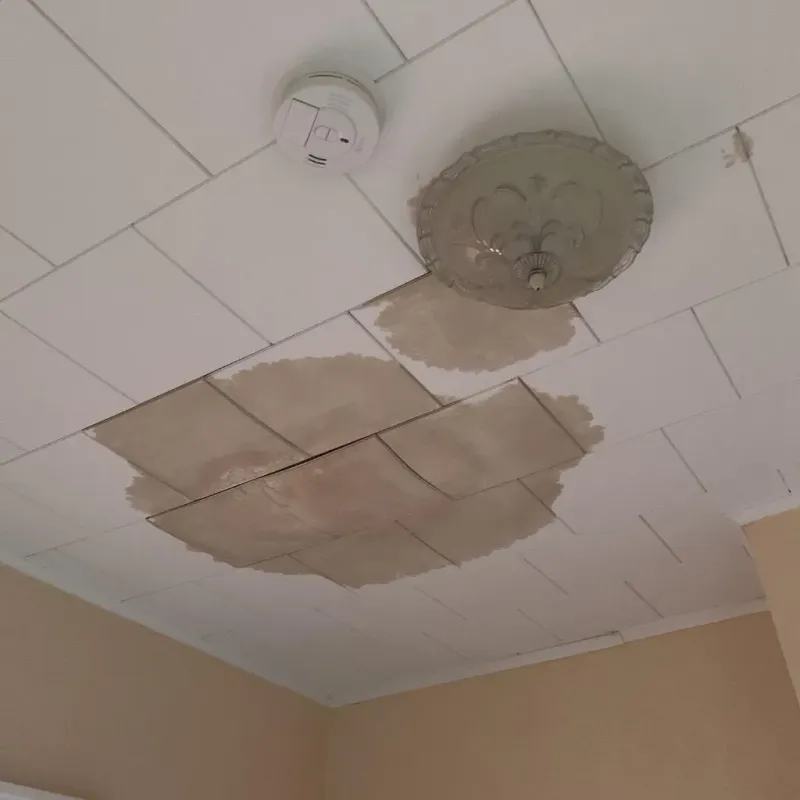Ceiling Water Damage Repair in Morrison County, MN